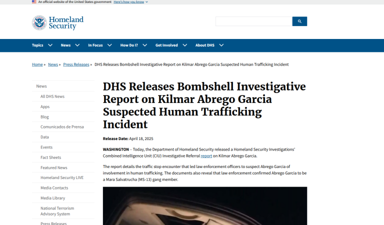 homeland security article